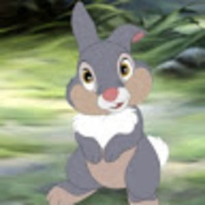 Meet your Posher, Alejandra